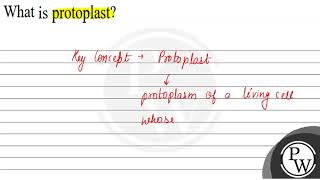 What is protoplast [upl. by Longmire]