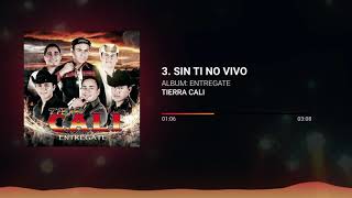 Tierra Cali  Sin Ti No Vivo [upl. by Seabury]