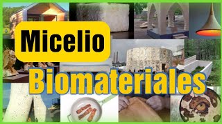 LA 🍄MICOTECTURA EL MICELIO COMO 🏠BIOMATERIAL con Mycomaker ​ [upl. by Anilra]