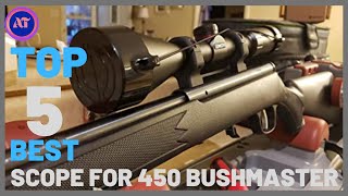 BEST SCOPE FOR 450 BUSHMASTER [upl. by Sybila301]