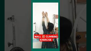 Wall 🧱 Climbing ExerciseShoulder pain relief Exercise shortsyt viralyt shortsyoutube shorts [upl. by Thaddaus97]