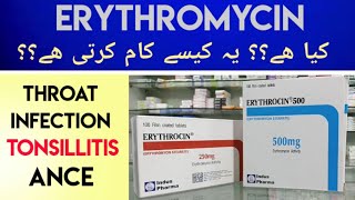 Erythrocin Erythromycin 500MG Tab Uses amp Side Effects In Urdu Hindi  Erythromycin For Sore Throat [upl. by Annaik598]