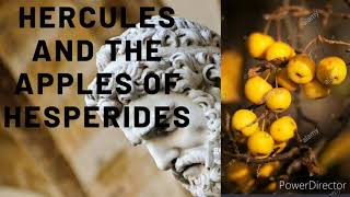 Class 7th Hercules and the Apples of Hesperides [upl. by Enimajneb]