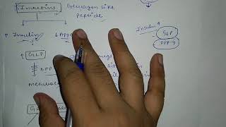 DPP4 Inhibitors Anti Diabetic Drug Full explain in hindi [upl. by Feetal]