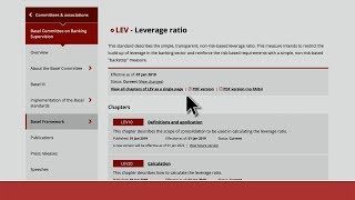 The Basel Framework [upl. by Lrub]