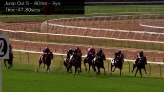 Cranbourne Jump Outs 30 Jan Jump Out 5 [upl. by Somar]