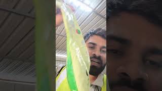 Recon 3s fiber Reliancein concrete and plaster please like subscribe and share my channel 🙏🌹💗 [upl. by Tia107]