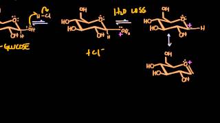 Carbohydrate glycoside formationhydrolysis [upl. by Karee]