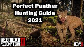 Perfect Panther Hunting guide for beginner in 2021  Red Dead Redemption 2  RDR2 [upl. by Klayman]