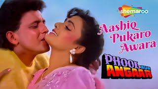 Aashiq Pukaro Awara  Phool Aur Angaar 1993  Audio Song  Mithun Chakraborty  Sonam  Kumar Sanu [upl. by Syck]