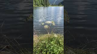 Morgins Lake 🏞️🇨🇭 [upl. by Peck]