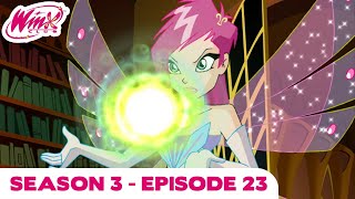 Winx Club  FULL EPISODE  The Wizards Challenge  Season 3 Episode 23 [upl. by Pansy]