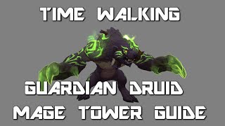 Timewalking Guardian Druid Mage Tower Guide [upl. by Mallina411]