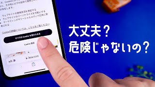 有効にしても大丈夫？最近よく見かける「Cookieクッキー」について解説します [upl. by Israel]