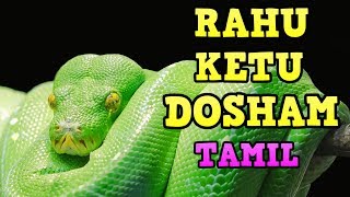 Rahu Ketu Dosham in Tamil  ராகு கேது தோஷம்  Rahu Ketu Dosham Effects in Tamil [upl. by Hniv]