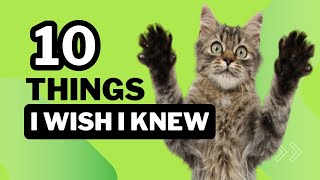 😺10 Things I Wish I Knew Before Getting a Cat💜 [upl. by Sylas]