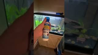 Aquarium product review Water clarifier and a way to kill white spots disease [upl. by Erdnassac]