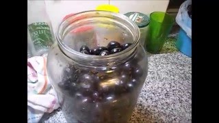 Cómo hacer aceitunas caseras negras 1 [upl. by Leterg]