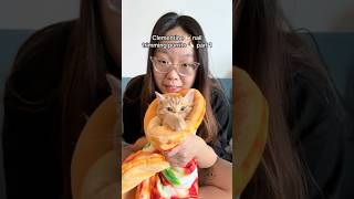 Clementine 🍊 is a SPICY PIZZA PURRITO 🌶️🍕🌯 babykittens catcare nailtrimming [upl. by Orland]