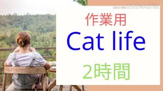 作業用【Cat life】2時間 [upl. by Cornall796]