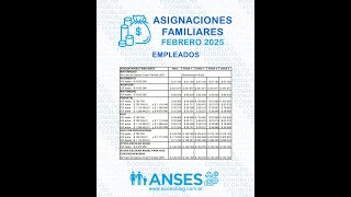 Nuevos montos de asignaciones familiares de Anses en febrero de 2025 [upl. by Tito]