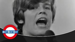 Hermans Hermits  No Milk Today 1966 [upl. by Llerad667]