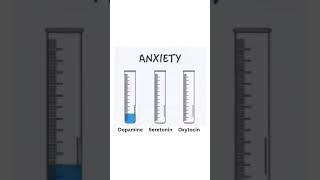 Neurotransmitters  Types of Neurotransmitter in Central Nervous System Anxiety  Happiness  Love [upl. by Merlina]