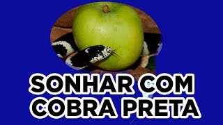 Sonhar Com Cobra Preta  Qual o Significado [upl. by Postman]