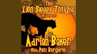 The Lion Sleeps Tonight Wimoweh feat Paul Bergerot [upl. by Witha]