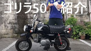 ホンダ ゴリラ50 過去のモデルなどご紹介 [upl. by Engdahl72]