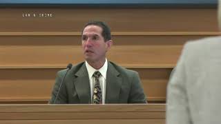 McStay Family Murder Trial Day 22 Part 2 Scott Weitzman Testifies [upl. by Ulu]