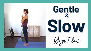 30 minute slow yoga flow  Beginner Vinyasa Flow [upl. by Rowan]