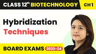 Hybridization Techniques  Recombinant DNA Technology  Class 12 Biotechnology Chapter 1 [upl. by Aleka]