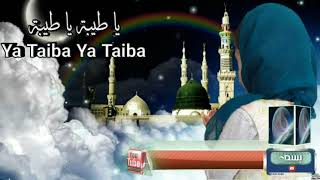 Ya Taiba Ya Taiba  Bisma Fatima  Beautiful Voice  Nasheed  Naat  2021  quotYa Taibaquot Lyrics [upl. by Rairb12]