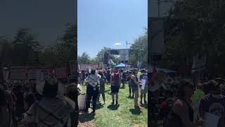 Protesters gather outside Democratic National Convention in Chicago [upl. by Pedaias749]