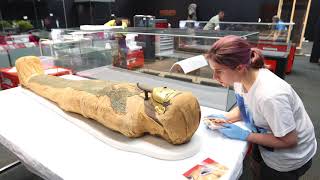 Egyptian Mummies Exploring Ancient Lives [upl. by Walrath]