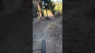 Wexl Trails mtb emtb emtb50 downhill [upl. by Lisette58]