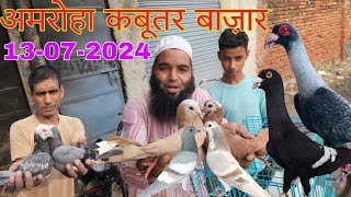 Amroha kabootar market 🕊️ 13072024 अमरोहा कबूतर बाज़ार। Gola kabootar market Bird market India [upl. by Haiasi]