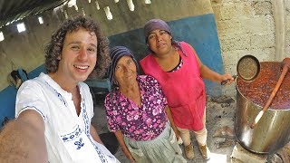 Así se celebran las bodas en un PUEBLO INDÍGENA [upl. by Mae]