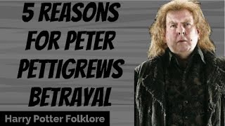 5 Reasons For Peter Pettigrews Betrayal [upl. by Karwan]