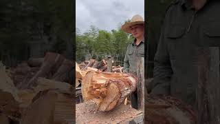 Splitting wood  tips  life hacks [upl. by Vally]