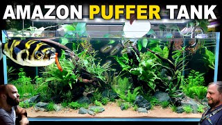 The Amazon Puffer Aquarium 4ft Planted Tank Aquascape Tutorial [upl. by Annuahs]