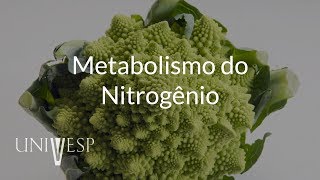 Fisiologia Vegetal  Aula 04  Metabolismo do Nitrôgenio [upl. by Anneh]