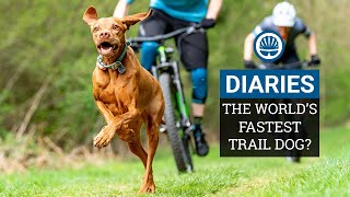 Racing The Worlds Fastest Trail Dog  Joe amp Jack Take on Ruby the Vizsla  BikeRadar Diaries Ep12 [upl. by Maiocco]