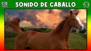 SONIDO DE CABALLO 🐎 [upl. by Auj]