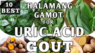 TOP 10 HALAMANG GAMOT PARA SA URIC ACID AT GOUT  URIC ACID GOUT NATURAL REMEDIES  Naturer [upl. by Ahsieki]