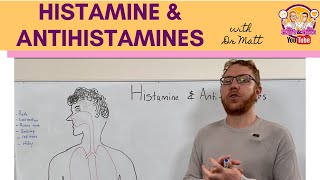 Histamine and Antihistamines Meds [upl. by Yro]