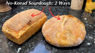 3 Ingredient Italian NO KNEAD BREAD  The Easiest way to make Bread [upl. by Eniamreg]