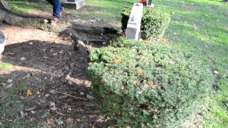 The Grave of Harriet Tubman  Fort Hill Cemetery in Auburn NY [upl. by Aicemat69]