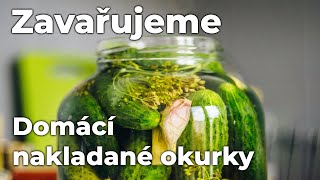 Domácí nakládané okurky [upl. by Osnofledi]